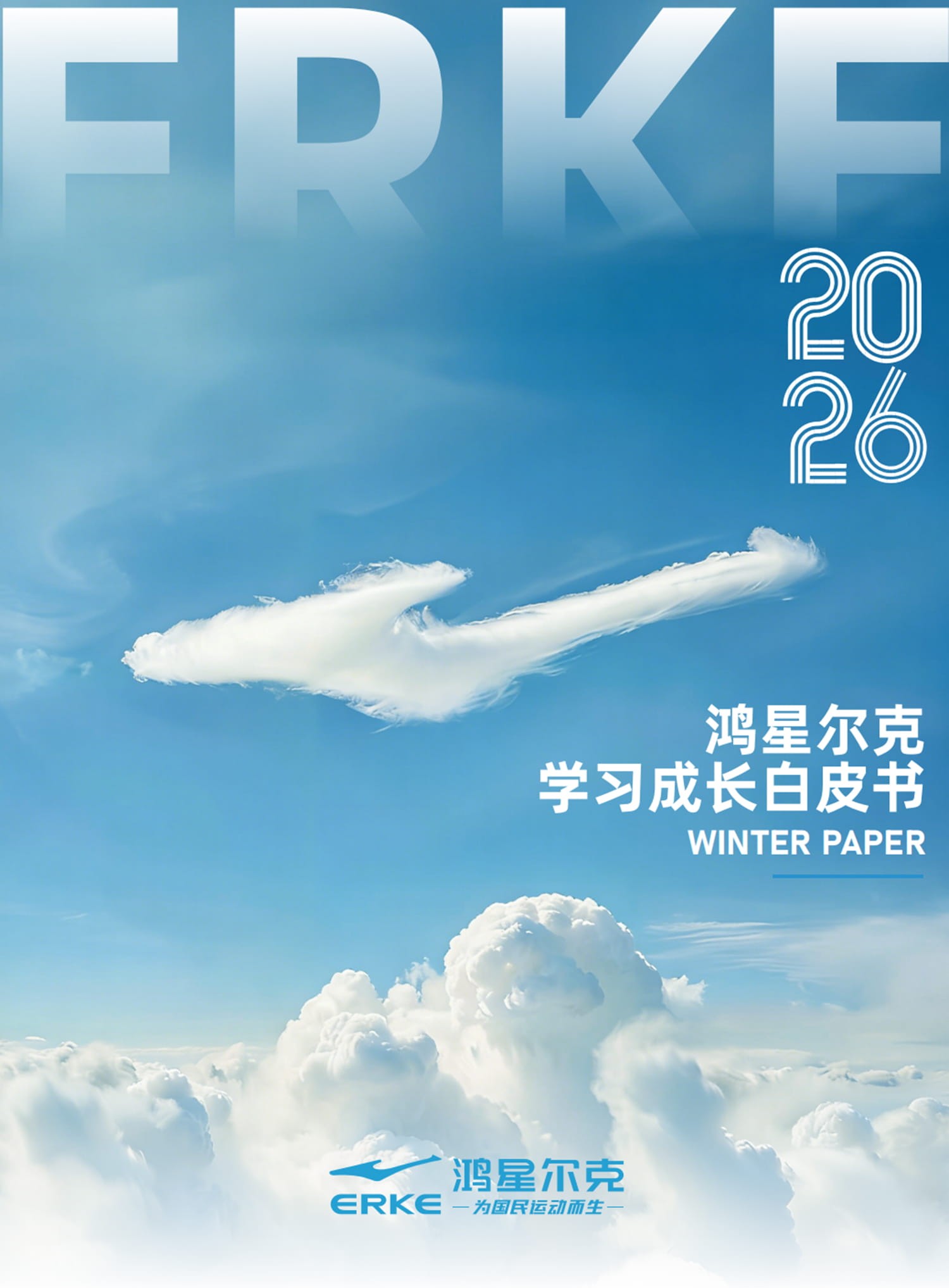 企业白皮书视觉.jpg